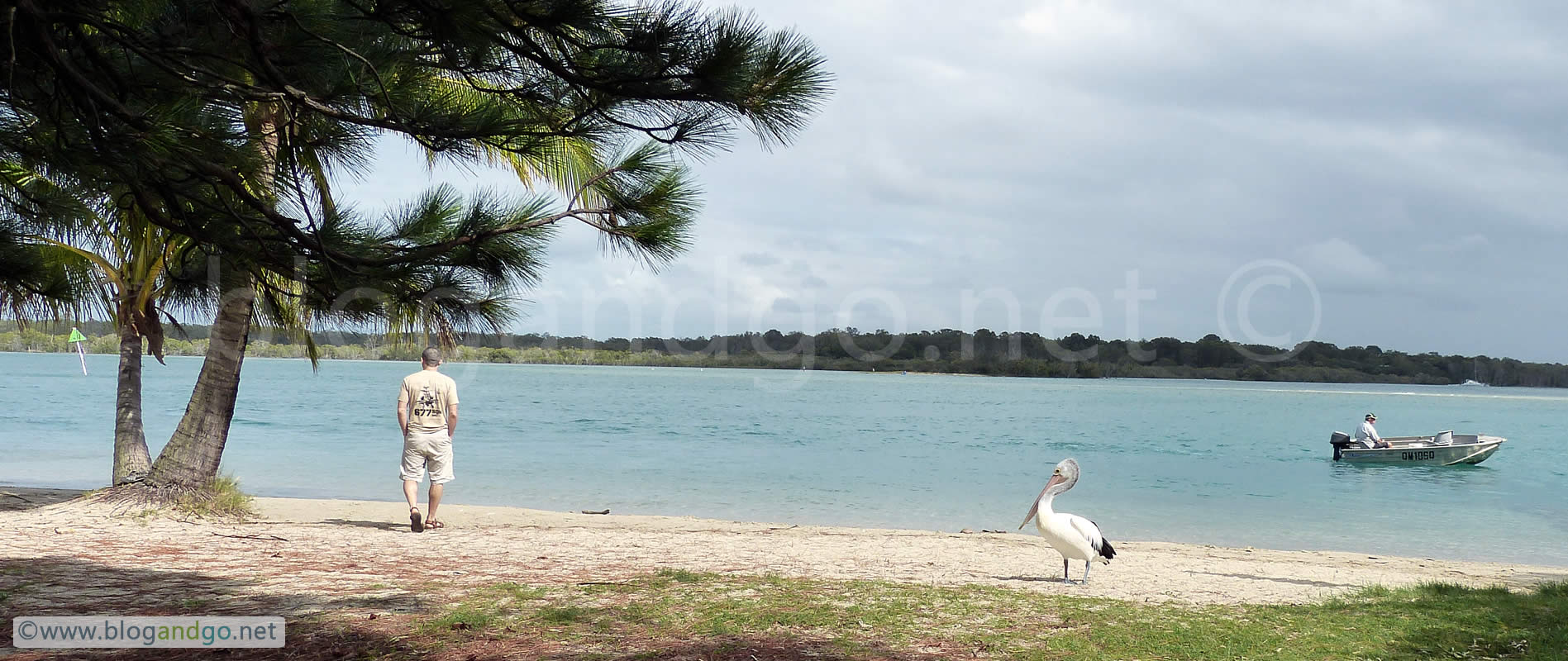 Noosa Heads (Sunshine Coast)